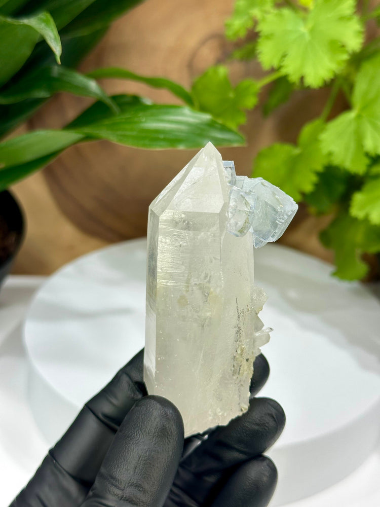 Terminated Quartz Crystal with Light Blue Fluorite from the Hunan Province - Natural Mineral Display Piece Perfect for Collectors + Healing