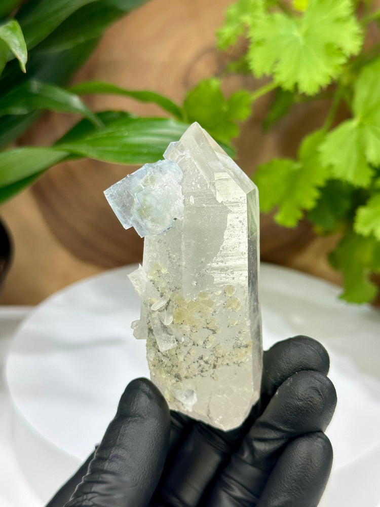 
                  
                    Load image into Gallery viewer, Terminated Quartz Crystal with Light Blue Fluorite from the Hunan Province - Natural Mineral Display Piece Perfect for Collectors + Healing
                  
                