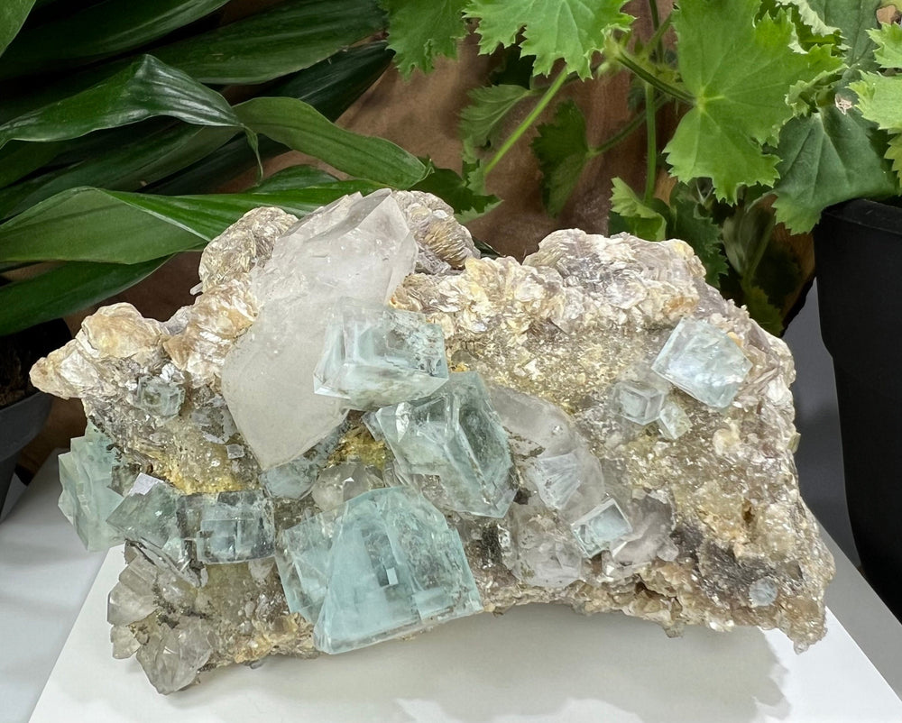 Blue Fluorite w/ Doube Terminated Quartz + Muscovite in Matrix from Xianghualing Mine - Natural Mineral Display Piece Perfect for Collectors