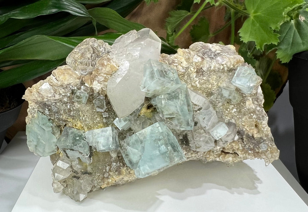
                  
                    Load image into Gallery viewer, Blue Fluorite w/ Doube Terminated Quartz + Muscovite in Matrix from Xianghualing Mine - Natural Mineral Display Piece Perfect for Collectors
                  
                