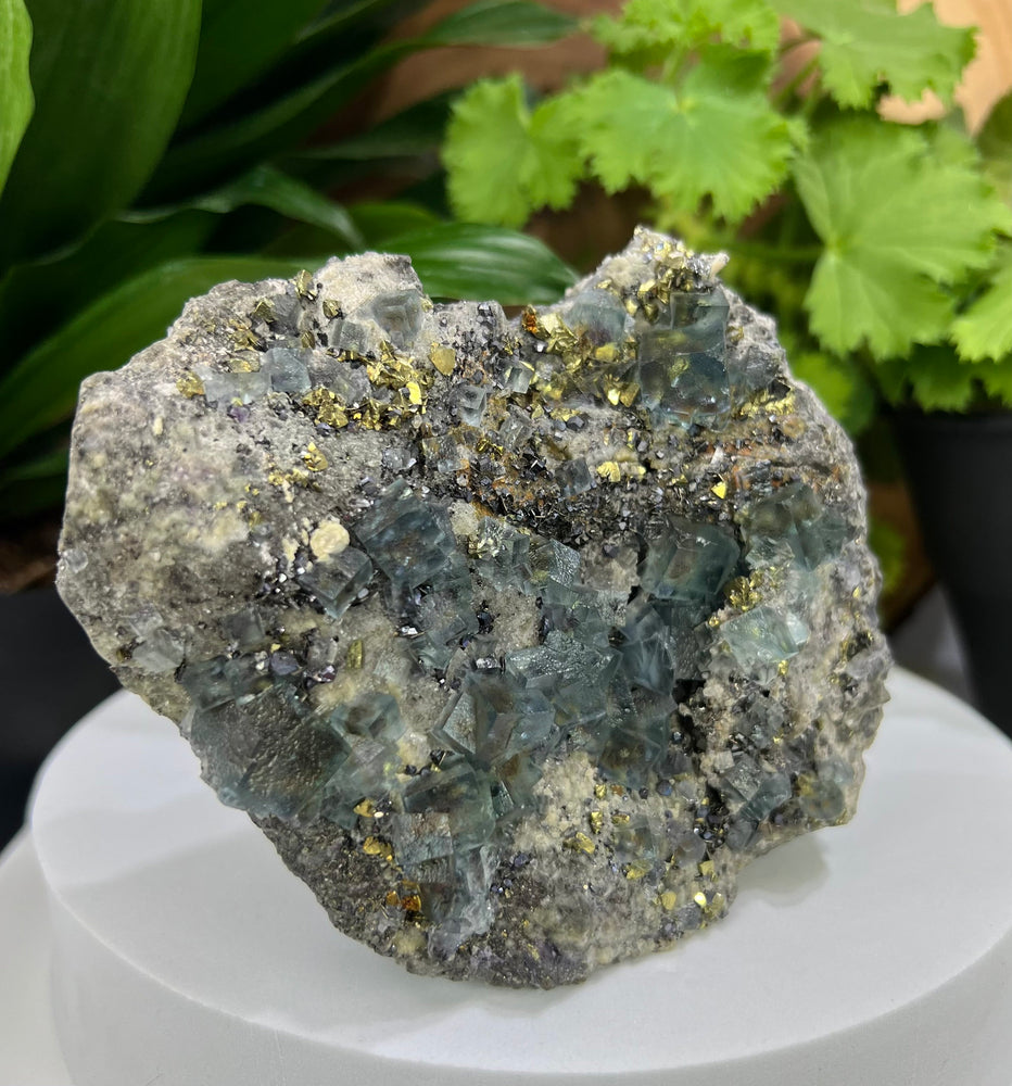 
                  
                    Load image into Gallery viewer, Fluorite Crystals and Pyrite in Mineral Rich Matrix from The Hunan Province - Natural Display Piece Perfect for Collectors + Healing 20% OFF
                  
                