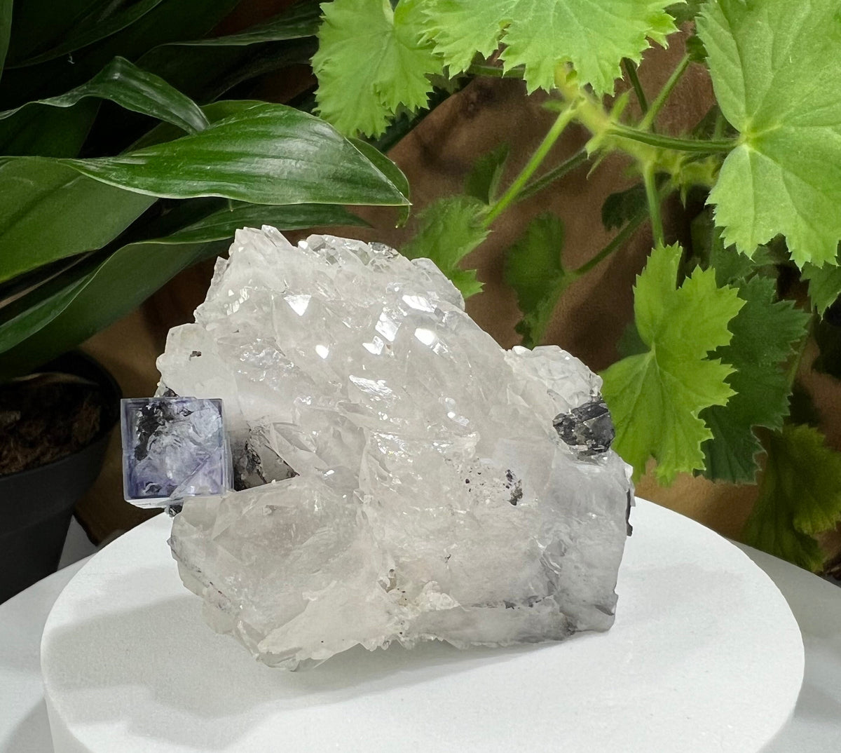 Elestial Quartz with Cubic Purple Fluorite Crystals from The Hunan Pro ...