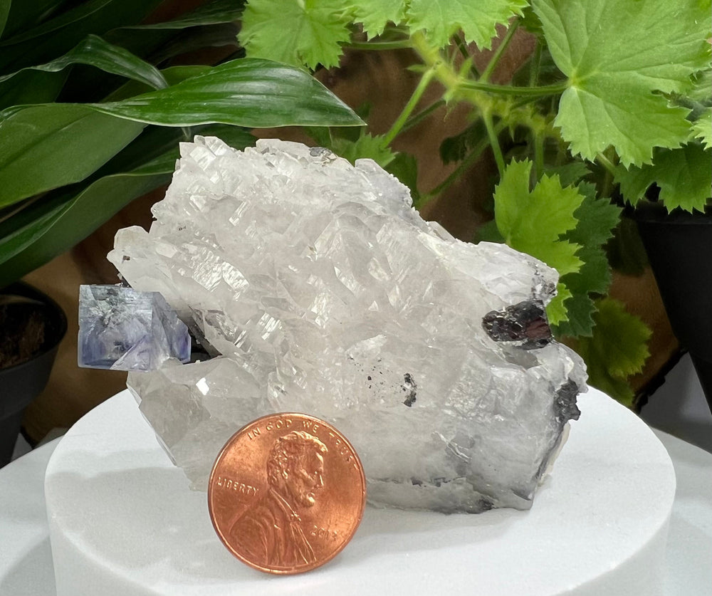 
                  
                    Load image into Gallery viewer, Elestial Quartz with Cubic Purple Fluorite Crystals from The Hunan Province - Natural Mineral Display Piece Perfect for Collectors + Healing
                  
                