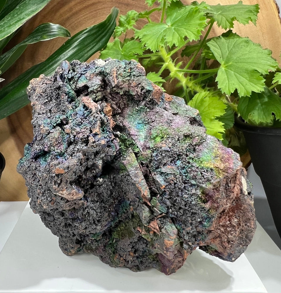 
                  
                    Load image into Gallery viewer, Rare Natural Iridescent Rainbow Limonite on Matrix from Guangdong Province - Perfect for Mineral Collections + Crystal Healing 20% OFF SALE
                  
                