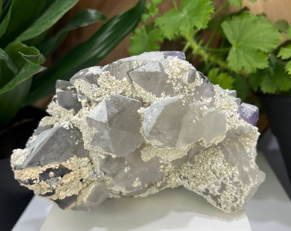 
                  
                    Load image into Gallery viewer, Quartz Crystal Cluster w/ Purple Fluorite and Ferberite from The Shangbao Mine, Hunan Province - Perfect for Mineral Collections + Healing
                  
                