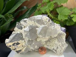 
                  
                    Load image into Gallery viewer, Quartz Crystal Cluster w/ Purple Fluorite and Ferberite from The Shangbao Mine, Hunan Province - Perfect for Mineral Collections + Healing
                  
                