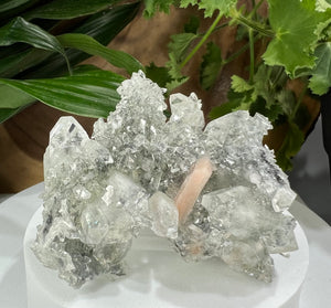 
                  
                    Load image into Gallery viewer, Apophyllite Crystals w/ Druzy Peach Stilbite + Chalcedony from Nashik India - Natural Mineral Display Piece Perfect for Collectors + Healing
                  
                