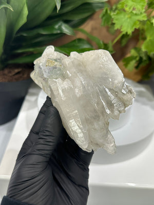 
                  
                    Load image into Gallery viewer, Fluorite Crystals on Terminated Quartz Cluster from The Hunan Province - Natural Mineral Display Piece Perfect for Collections - 20%OFF SALE
                  
                
