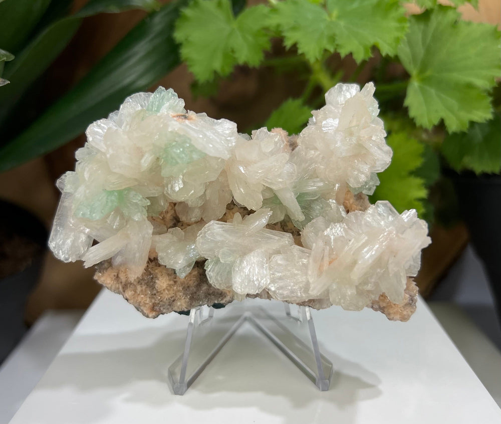 Green Fluorapophyllite Crystals w/ Heulandite and Stilbite from Ahmednagar, Maharashtra, India - Perfect for Mineral Collections + Healing