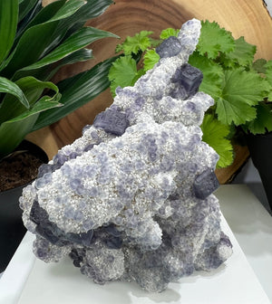 
                  
                    Load image into Gallery viewer, Beveled Purple Fluorite Crystals with White Chalcedony (Quartz) from The Xia Yang Mine, Fujian Province - Natural Mineral Display Piece SALE
                  
                