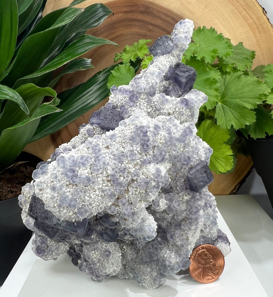 
                  
                    Load image into Gallery viewer, Beveled Purple Fluorite Crystals with White Chalcedony (Quartz) from The Xia Yang Mine, Fujian Province - Natural Mineral Display Piece SALE
                  
                