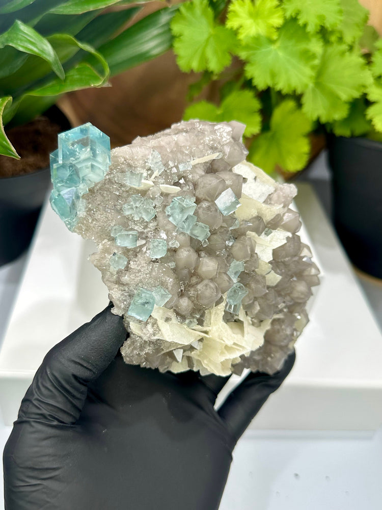 Clear Green Cubic Fluorite on Smoky Quartz Crystal Cluster with Barite from The Xianghualing Mine - Natural Mineral Collectors Piece 20% OFF