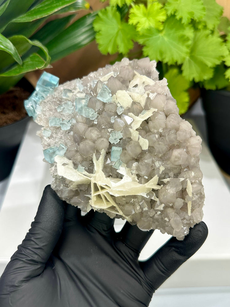 
                  
                    Load image into Gallery viewer, Clear Green Cubic Fluorite on Smoky Quartz Crystal Cluster with Barite from The Xianghualing Mine - Natural Mineral Collectors Piece 20% OFF
                  
                