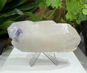 
                  
                    Load image into Gallery viewer, Fluorite w/ Purple Saturation on Terminated Quartz Crystal, Yaogangxian Mine -  Natural Display Piece Perfect for Collectors + Healing
                  
                