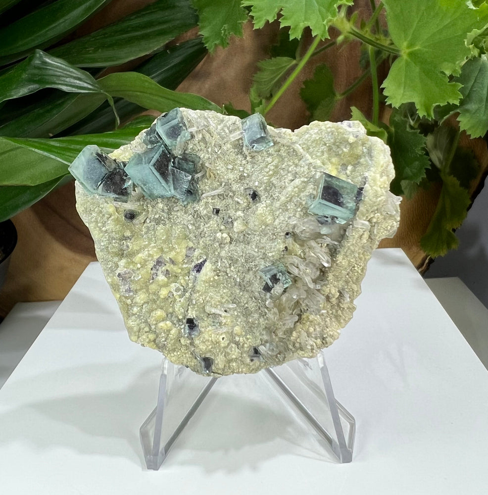 Super Saturated Cubic Fluorite and Quartz Crystals from The Yaogangxian Mine - Natural Display Piece Perfect for Collectors + Healing SALE