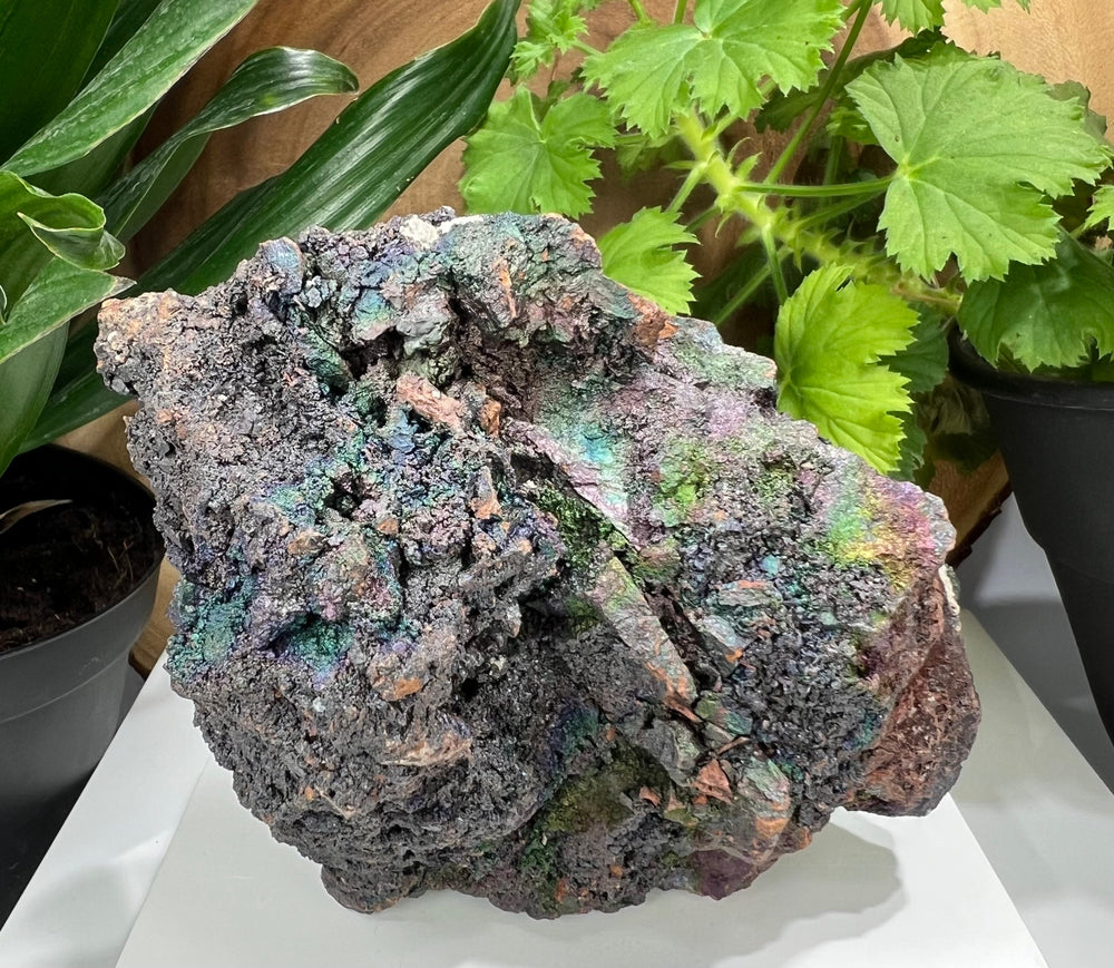 Rare Natural Iridescent Rainbow Limonite on Matrix from Guangdong Province - Perfect for Mineral Collections + Crystal Healing 20% OFF SALE
