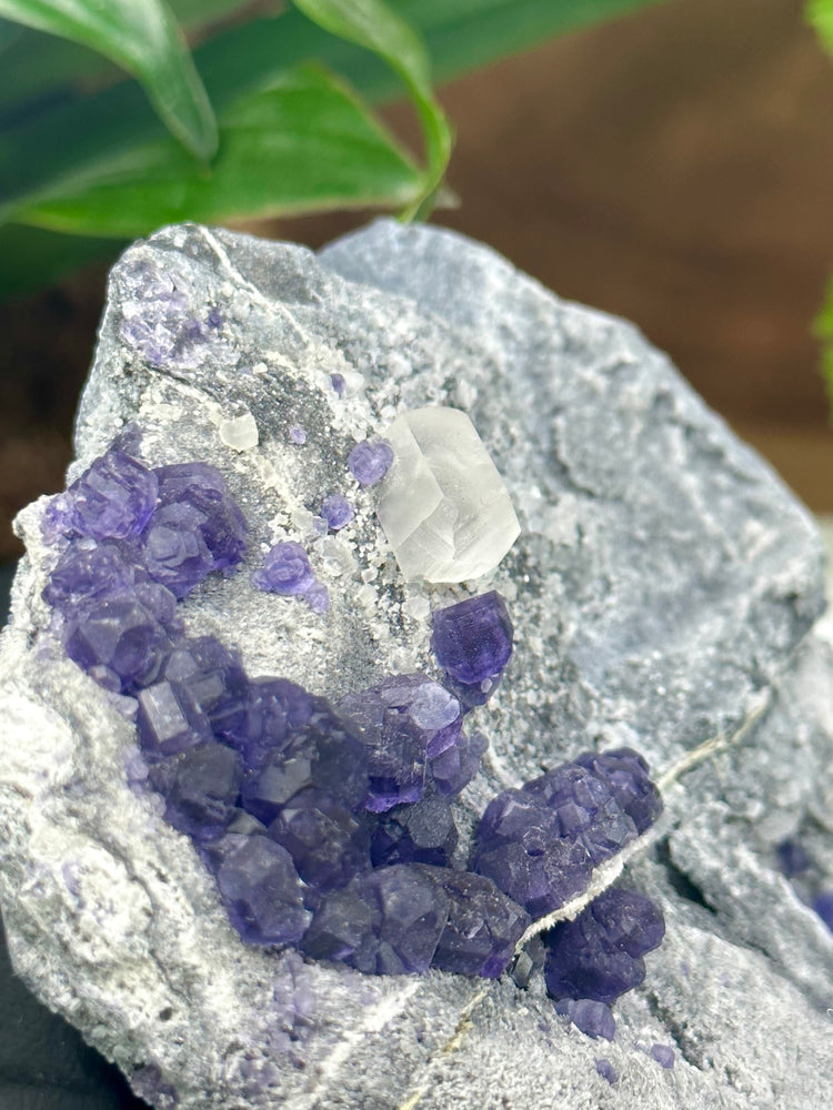 Purple Fluorite Clusters with Terminated Fluorescent Columnar Calcite in Matrix from the Hunan Province - Natural Mineral Display Piece SALE
