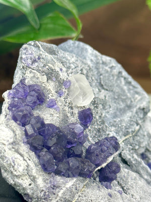 
                  
                    Load image into Gallery viewer, Purple Fluorite Clusters with Terminated Fluorescent Columnar Calcite in Matrix from the Hunan Province - Natural Mineral Display Piece SALE
                  
                