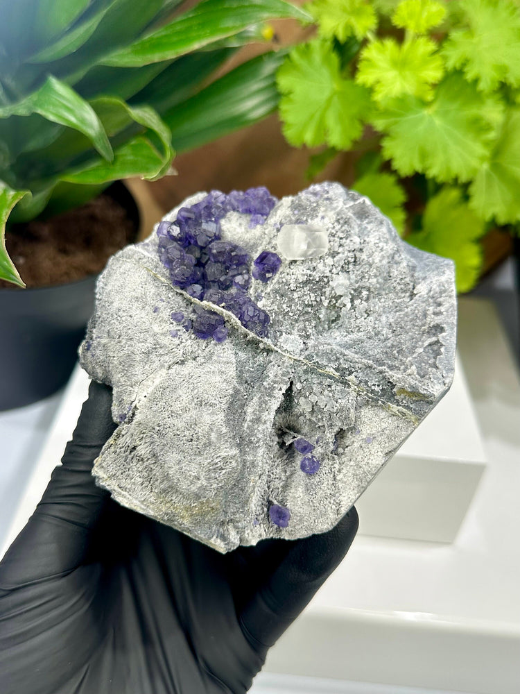 
                  
                    Load image into Gallery viewer, Purple Fluorite Clusters with Terminated Fluorescent Columnar Calcite in Matrix from the Hunan Province - Natural Mineral Display Piece SALE
                  
                