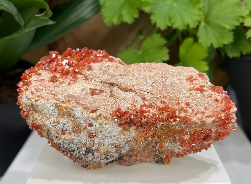 Vanadinite Crystals Clustered in Matrix from Mibladen, Morocco - Natural Mineral Display Piece Perfect for Collectors and Metaphysical Use
