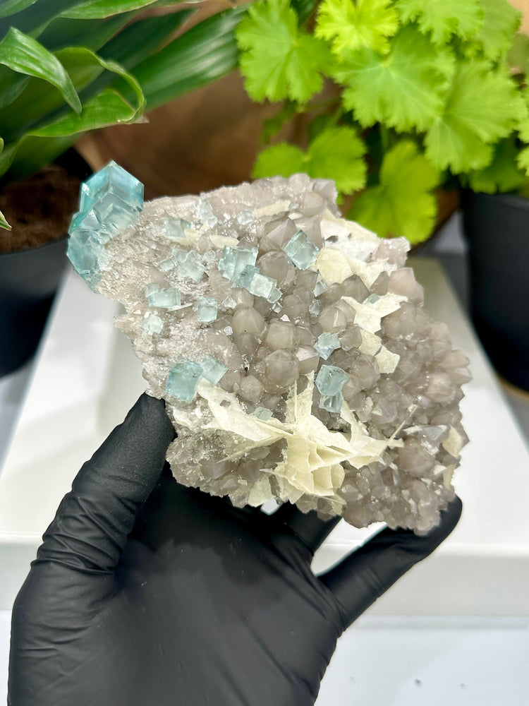 
                  
                    Load image into Gallery viewer, Clear Green Cubic Fluorite on Smoky Quartz Crystal Cluster with Barite from The Xianghualing Mine - Natural Mineral Collectors Piece 20% OFF
                  
                