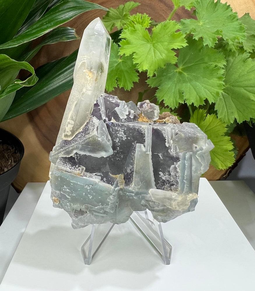 Fluorite Cluster with Terminated Chlorite Included Quartz from The Hunan Province - Natural Mineral Display Piece Perfect for Collectors